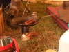 dscf2248.jpg