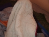 dscf2289.jpg