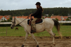 Reiten