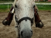 dscf7162