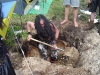 dsc00965.jpg