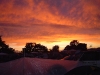 dsc00993.jpg
