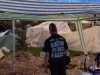 wacken-56.jpg