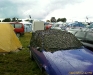 image_00474.jpg