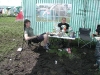 p1010060.jpg